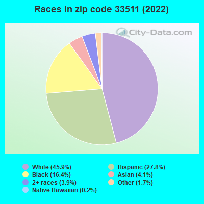 Races in zip code 33511 (2022)