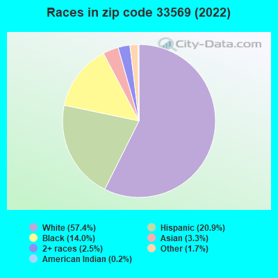 Races in zip code 33569 (2022)