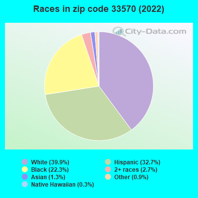 Races in zip code 33570 (2022)