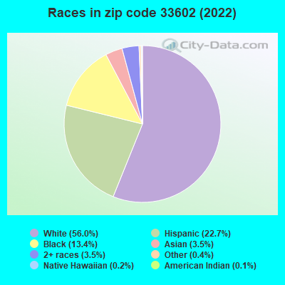 Races in zip code 33602 (2022)