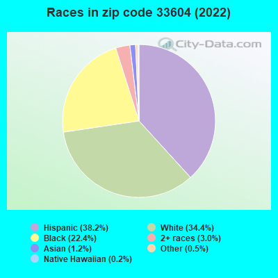 Races in zip code 33604 (2022)