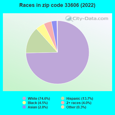 Races in zip code 33606 (2022)
