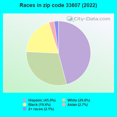 Races in zip code 33607 (2022)