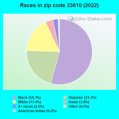 Races in zip code 33610 (2022)