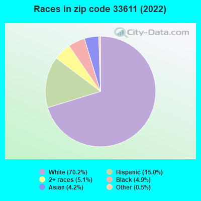 Races in zip code 33611 (2022)