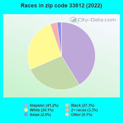 Races in zip code 33612 (2022)