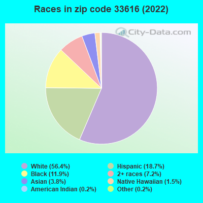 Races in zip code 33616 (2022)