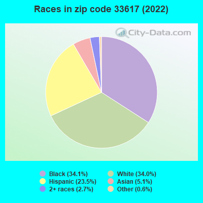 Races in zip code 33617 (2022)