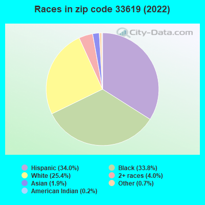 Races in zip code 33619 (2022)