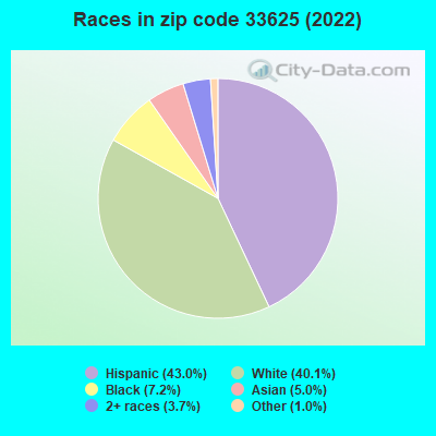 Races in zip code 33625 (2022)