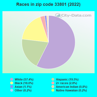 Races in zip code 33801 (2022)