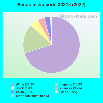 Races in zip code 33813 (2022)