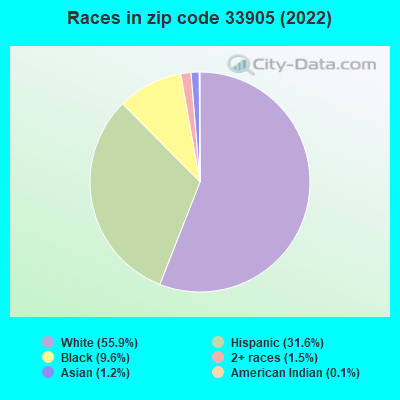 Races in zip code 33905 (2022)