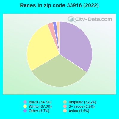Races in zip code 33916 (2022)