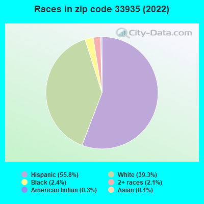 Races in zip code 33935 (2022)