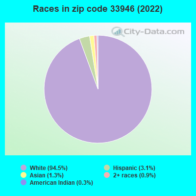 Races in zip code 33946 (2022)