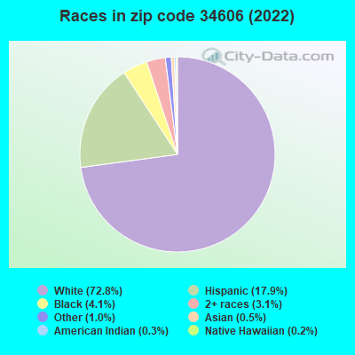 Races in zip code 34606 (2022)