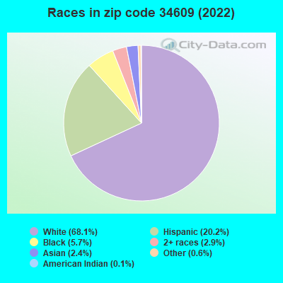 Races in zip code 34609 (2022)