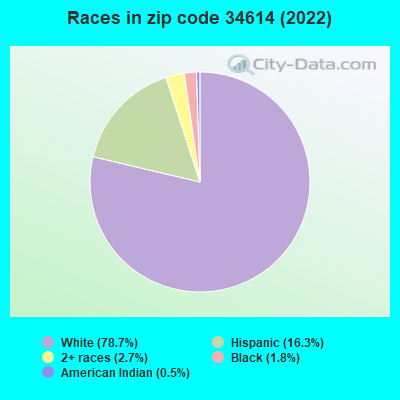 Races in zip code 34614 (2022)