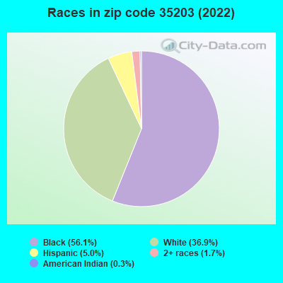 Races in zip code 35203 (2022)