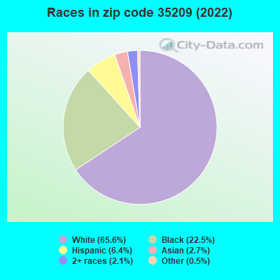 Races in zip code 35209 (2022)