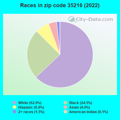 Races in zip code 35216 (2022)