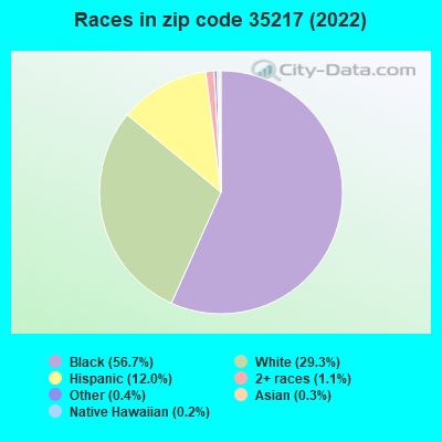 Races in zip code 35217 (2022)