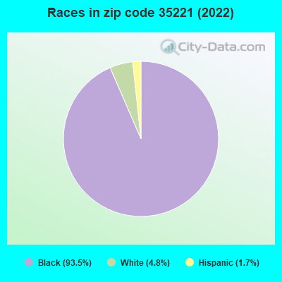 Races in zip code 35221 (2022)
