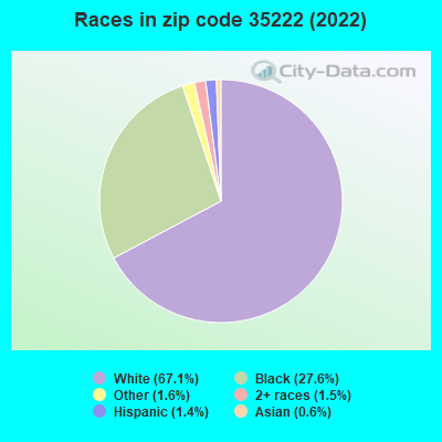 Races in zip code 35222 (2022)