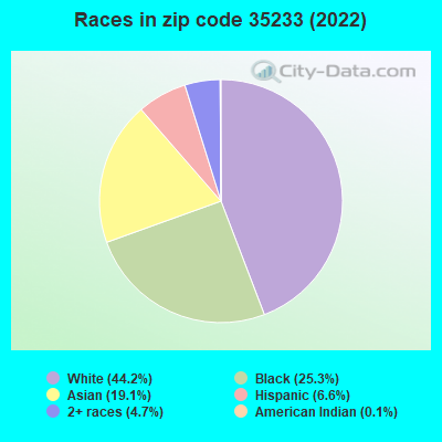 Races in zip code 35233 (2022)