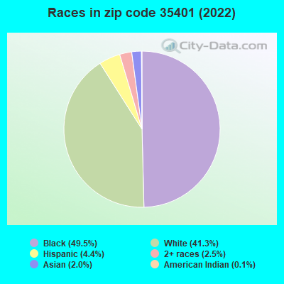 Races in zip code 35401 (2022)
