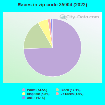 Races in zip code 35904 (2022)