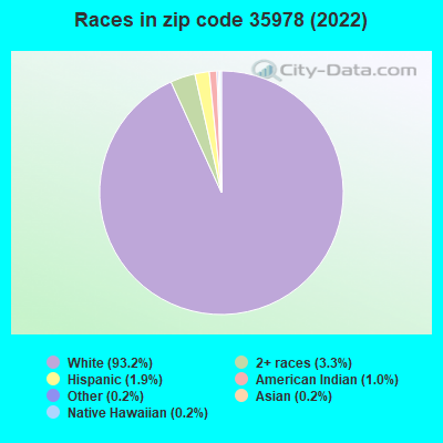 Races in zip code 35978 (2022)