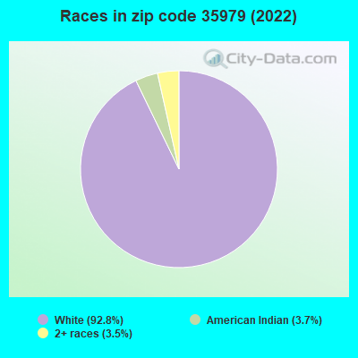 Races in zip code 35979 (2022)