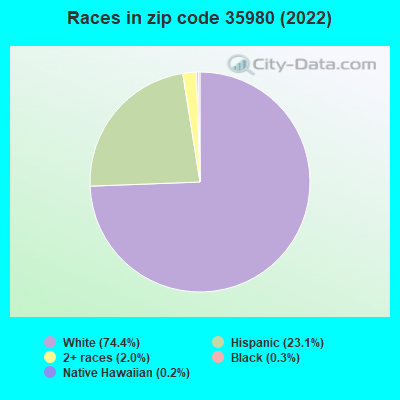 Races in zip code 35980 (2022)