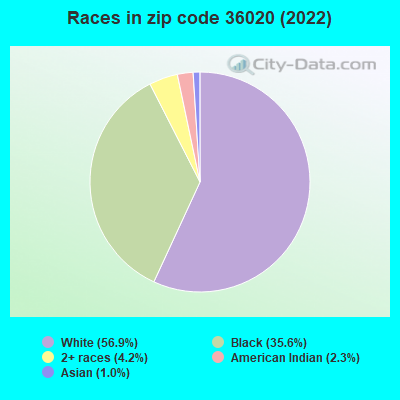 Races in zip code 36020 (2022)