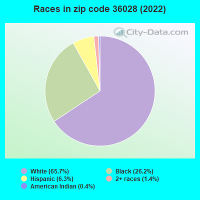 Races in zip code 36028 (2022)