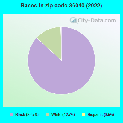 Races in zip code 36040 (2022)