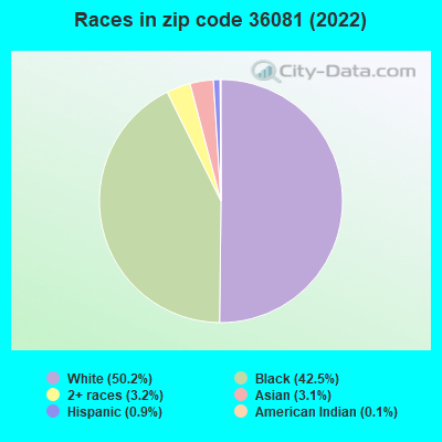 Races in zip code 36081 (2022)