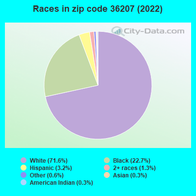 Races in zip code 36207 (2022)