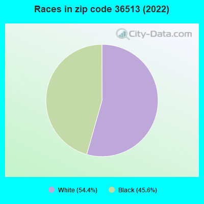 Races in zip code 36513 (2022)