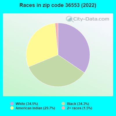 Races in zip code 36553 (2022)