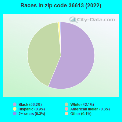 Races in zip code 36613 (2022)