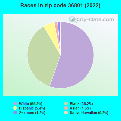 Races in zip code 36801 (2022)