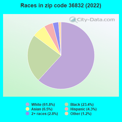 Races in zip code 36832 (2022)