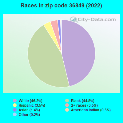 Races in zip code 36849 (2022)