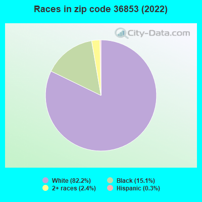 Races in zip code 36853 (2022)