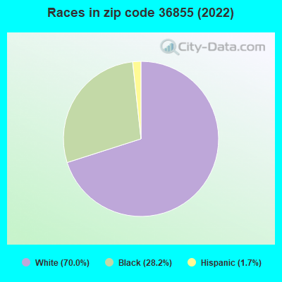 Races in zip code 36855 (2022)