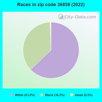 Races in zip code 36858 (2022)