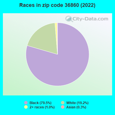 Races in zip code 36860 (2022)